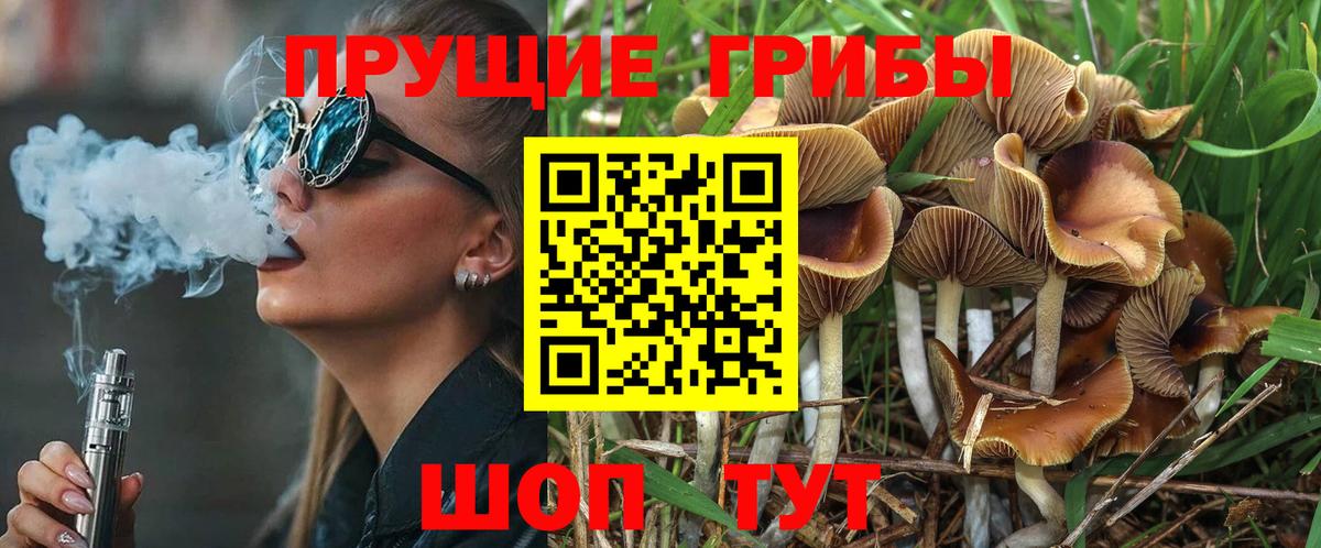 Камышин  Псилоцибиновые грибы Magic Shrooms  Вход с VPN 